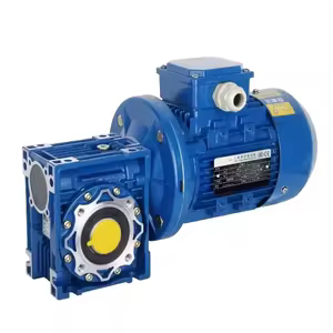 Worm Gear Reducer